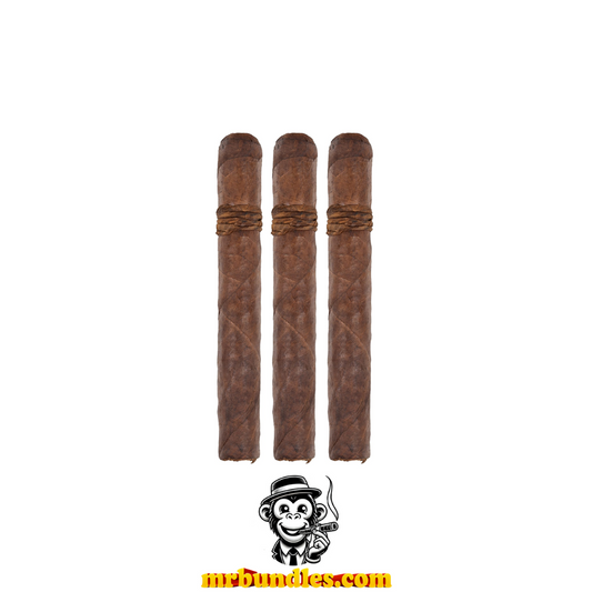 Amazon Basin 2025 Release (3 Pack)