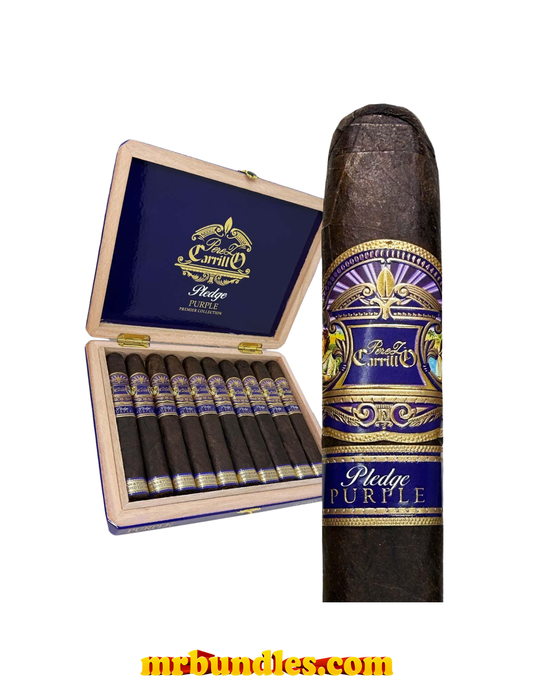 EP CARRILLO PLEDGE PURPLE TORO