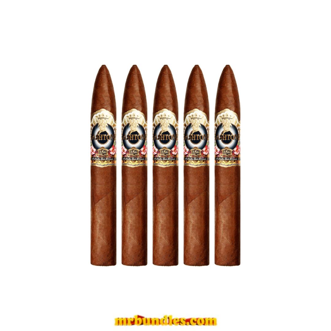 Ashton ESG 22 Year Salute