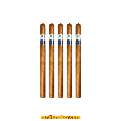 Villiger Miami